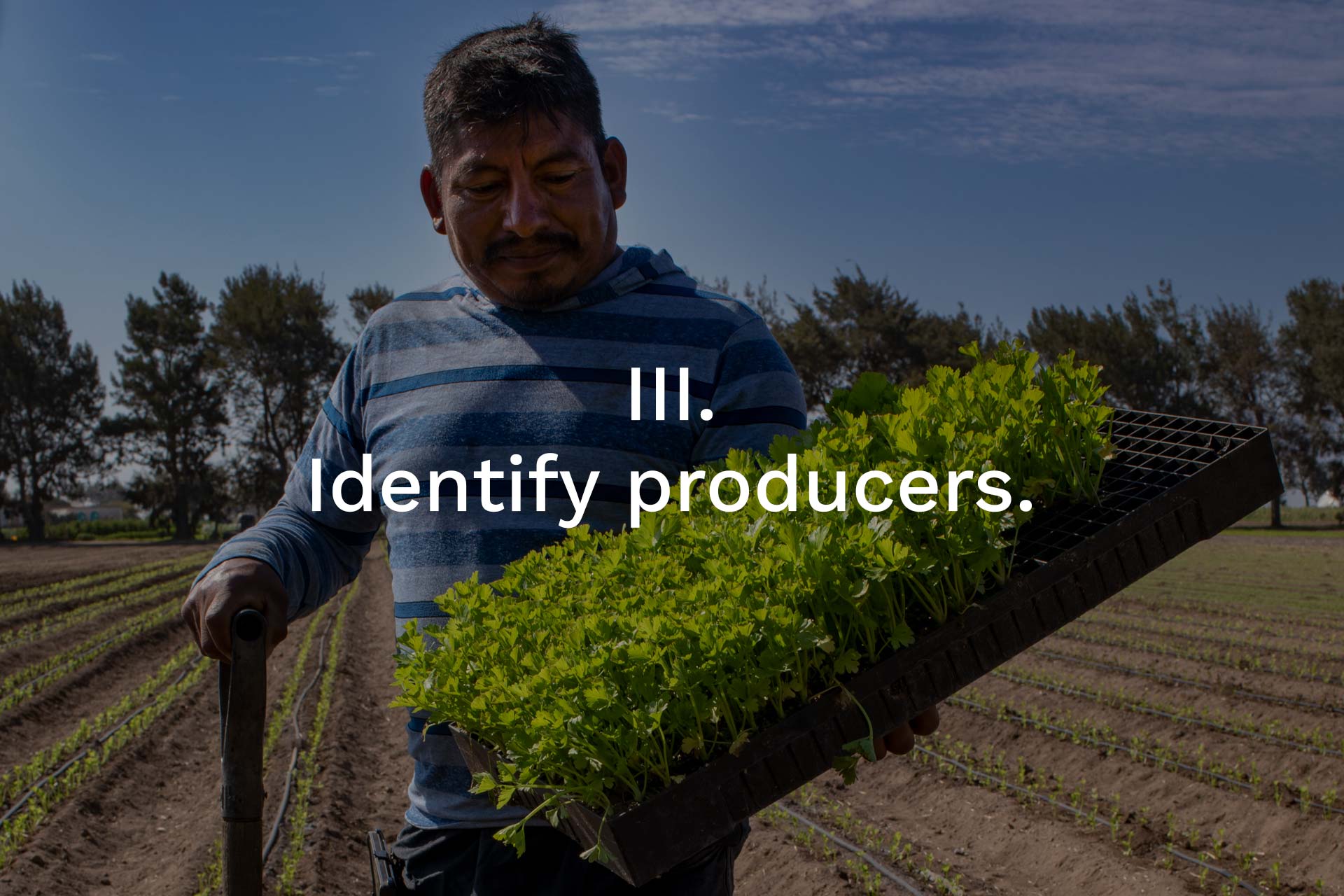 how to create your own BIPOC Sourcing pilot