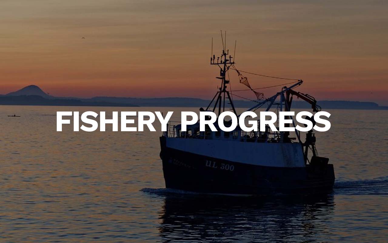 Fishery Case Study: Hainan Tilapia Sustainability Alliance