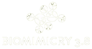 Biomimicry38-Logo-white