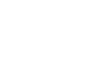 Sambazon-logo-white