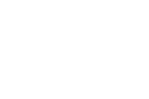 PS-HowGood-logo-white