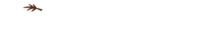 LEXICON_rgb_white_wide_noTM